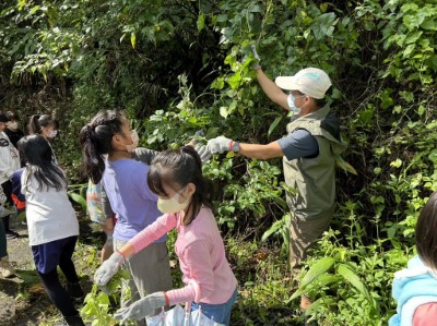 圖2-2. 移除小花蔓澤蘭(新竹林區管理處提供)